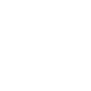 Digital Solutions for Retail Shoppers using mobile devices in a retail store.