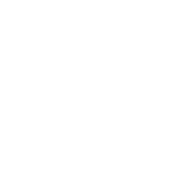 Digital Transformation in Transportation and Logistics Logistics manager tracking shipments on a digital dashboard